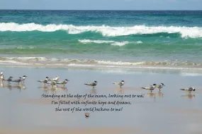 Beach Wall Art Sea Birds Inspired Words Edge of Ocean