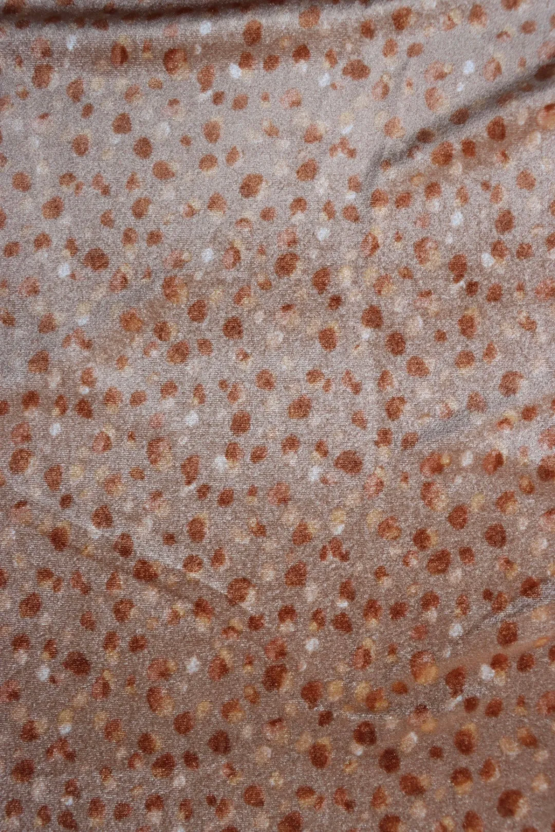Dakota on Tan Stretch Velvet